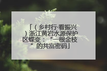 （乡村行·看振兴）浙江黄岩水源保护区蝶变：“一根金枝”的共富密码