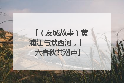 （友城故事）黄浦江与默西河，廿六春秋共潮声