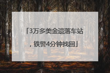 3万多美金遗落车站，铁警4分钟找回