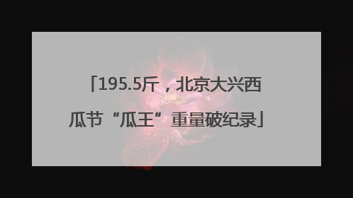 195.5斤，北京大兴西瓜节“瓜王”重量破纪录