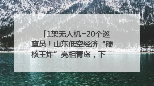 1架无人机=20个巡查员！山东低空经济“硬核王炸”亮相青岛，下一个万亿赛道藏在这里