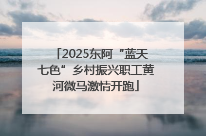 2025东阿“蓝天七色”乡村振兴职工黄河微马激情开跑