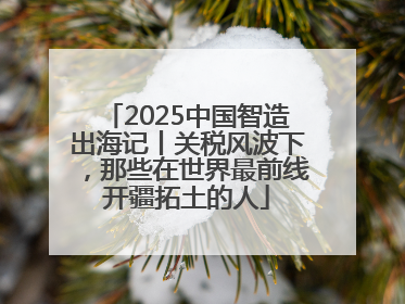 2025中国智造出海记丨关税风波下，那些在世界最前线开疆拓土的人