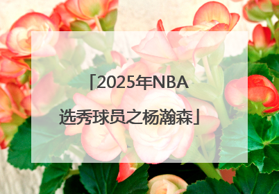 2025年NBA选秀球员之杨瀚森