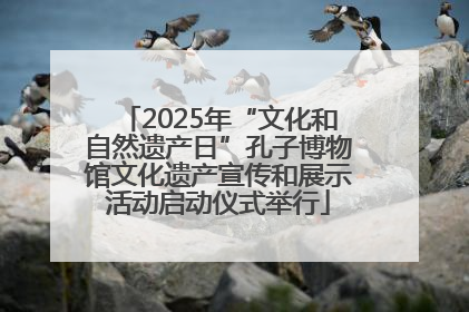 2025年“文化和自然遗产日”孔子博物馆文化遗产宣传和展示活动启动仪式举行