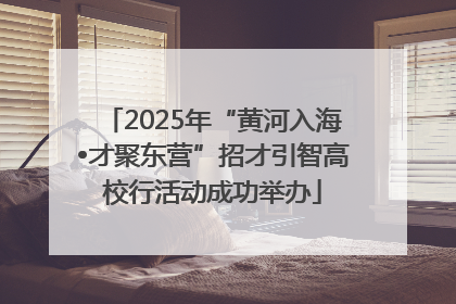 2025年“黄河入海•才聚东营”招才引智高校行活动成功举办