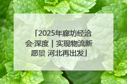 2025年廊坊经洽会·深度｜实现物流新愿景 河北再出发