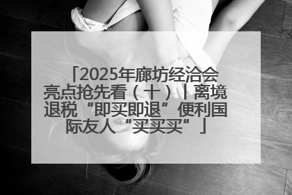 2025年廊坊经洽会亮点抢先看（十）丨离境退税“即买即退”便利国际友人“买买买”