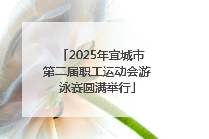 2025年宜城市第二届职工运动会游泳赛圆满举行