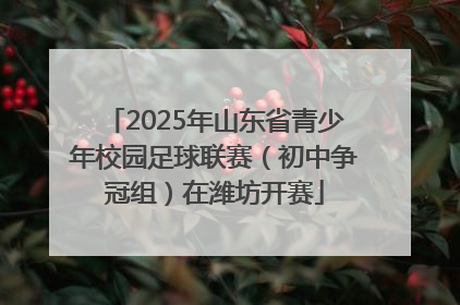 2025年山东省青少年校园足球联赛（初中争冠组）在潍坊开赛