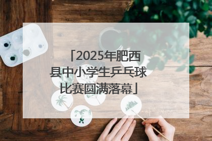 2025年肥西县中小学生乒乓球比赛圆满落幕