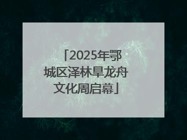 2025年鄂城区泽林旱龙舟文化周启幕