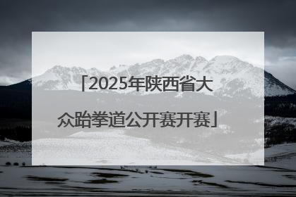 2025年陕西省大众跆拳道公开赛开赛