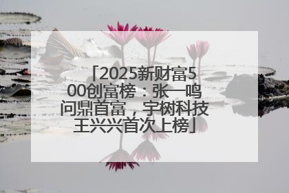 2025新财富500创富榜：张一鸣问鼎首富，宇树科技王兴兴首次上榜