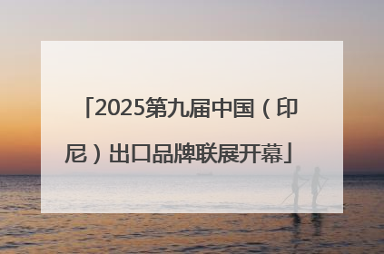 2025第九届中国（印尼）出口品牌联展开幕