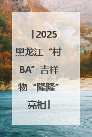 2025黑龙江“村BA”吉祥物“隆隆”亮相