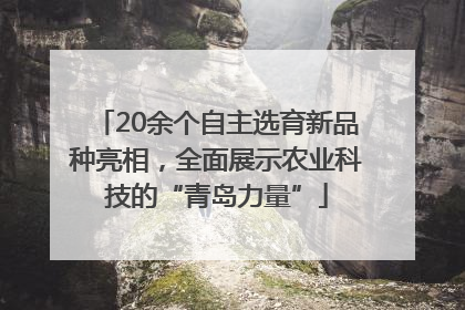 20余个自主选育新品种亮相，全面展示农业科技的“青岛力量”