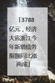 3788亿元，经济大省浙江今年新增债务限额同比涨两成