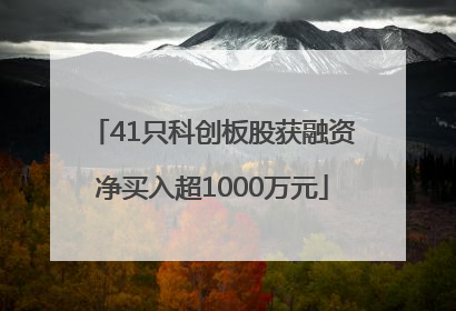 41只科创板股获融资净买入超1000万元