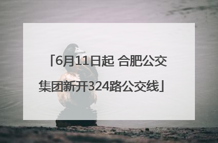 6月11日起 合肥公交集团新开324路公交线