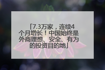 7.3万家，连续4个月增长！中国始终是外商理想、安全、有为的投资目的地