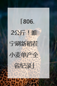 806.2公斤！睢宁刷新稻茬小麦单产全省纪录