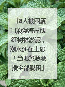 8人被困厦门浪漫海岸线红树林淤泥，潮水还在上涨！当地紧急救援全部脱困