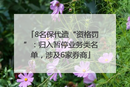 8名保代遭“资格罚”：归入暂停业务类名单，涉及6家券商
