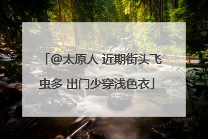 @太原人 近期街头飞虫多 出门少穿浅色衣