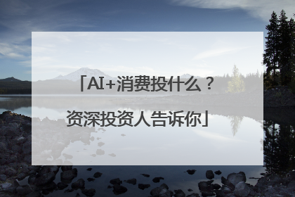 AI+消费投什么？资深投资人告诉你