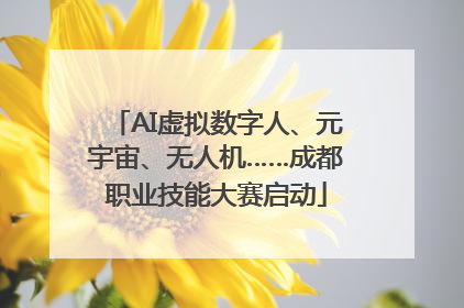 AI虚拟数字人、元宇宙、无人机……成都职业技能大赛启动
