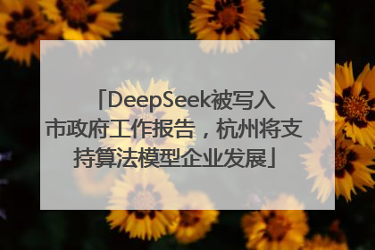 DeepSeek被写入市政府工作报告，杭州将支持算法模型企业发展