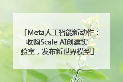 Meta人工智能新动作：收购Scale AI创建实验室，发布新世界模型