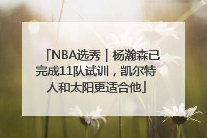 NBA选秀｜杨瀚森已完成11队试训，凯尔特人和太阳更适合他