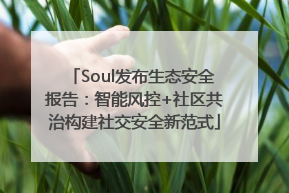 Soul发布生态安全报告：智能风控+社区共治构建社交安全新范式