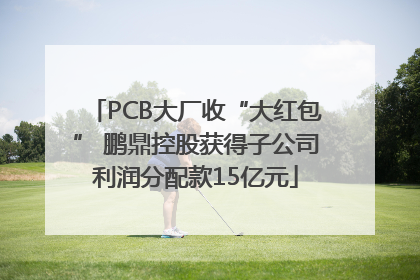 PCB大厂收“大红包” 鹏鼎控股获得子公司利润分配款15亿元